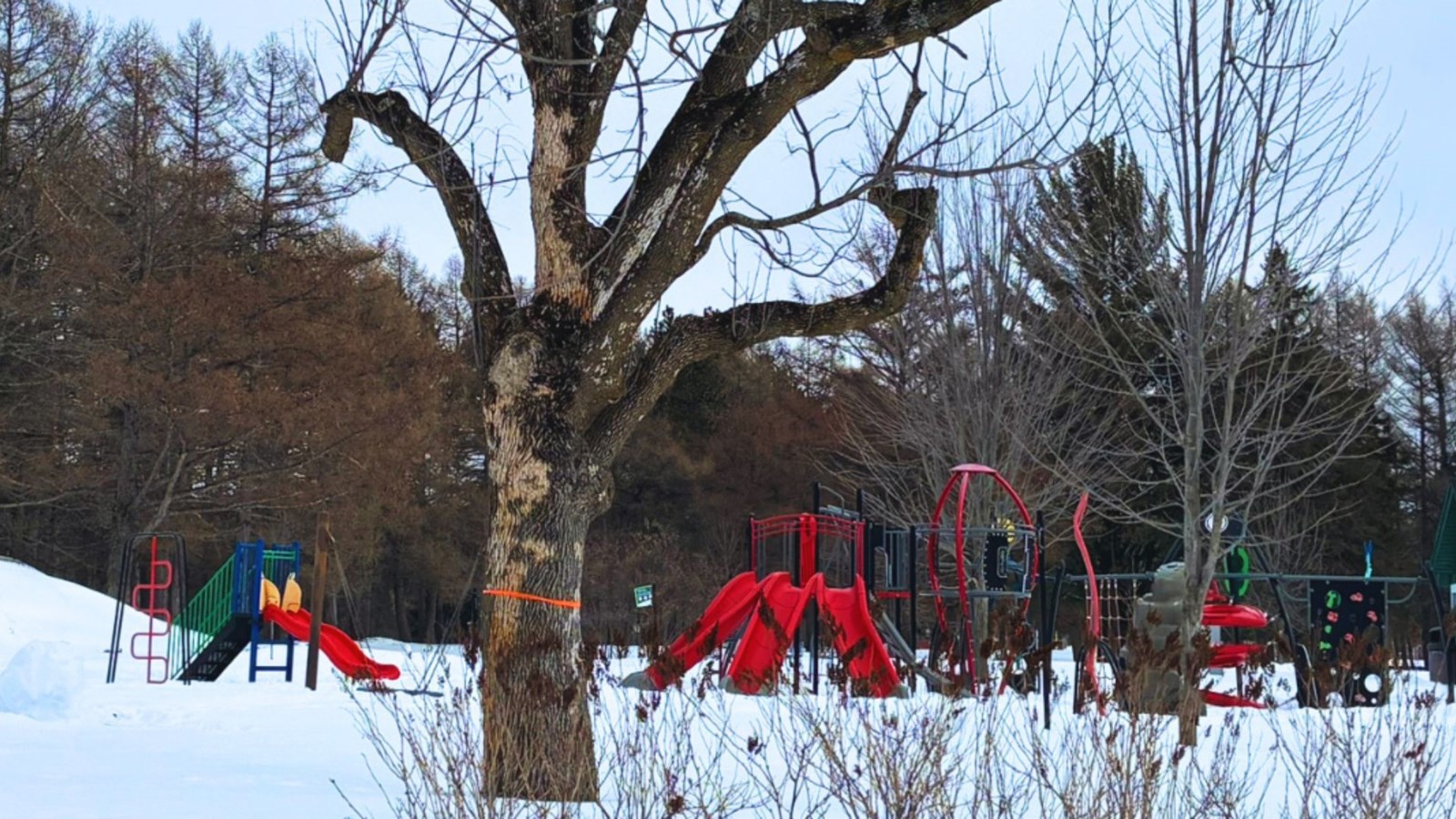 Pour garantir un travail sécuritaire, une section du parc et une partie du stationnement seront fermées jusqu’au 27 mars.