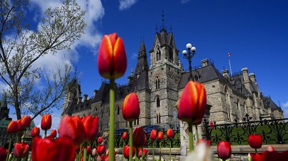 Ottawa adopte une loi qui criminalise la stérilisation forcée