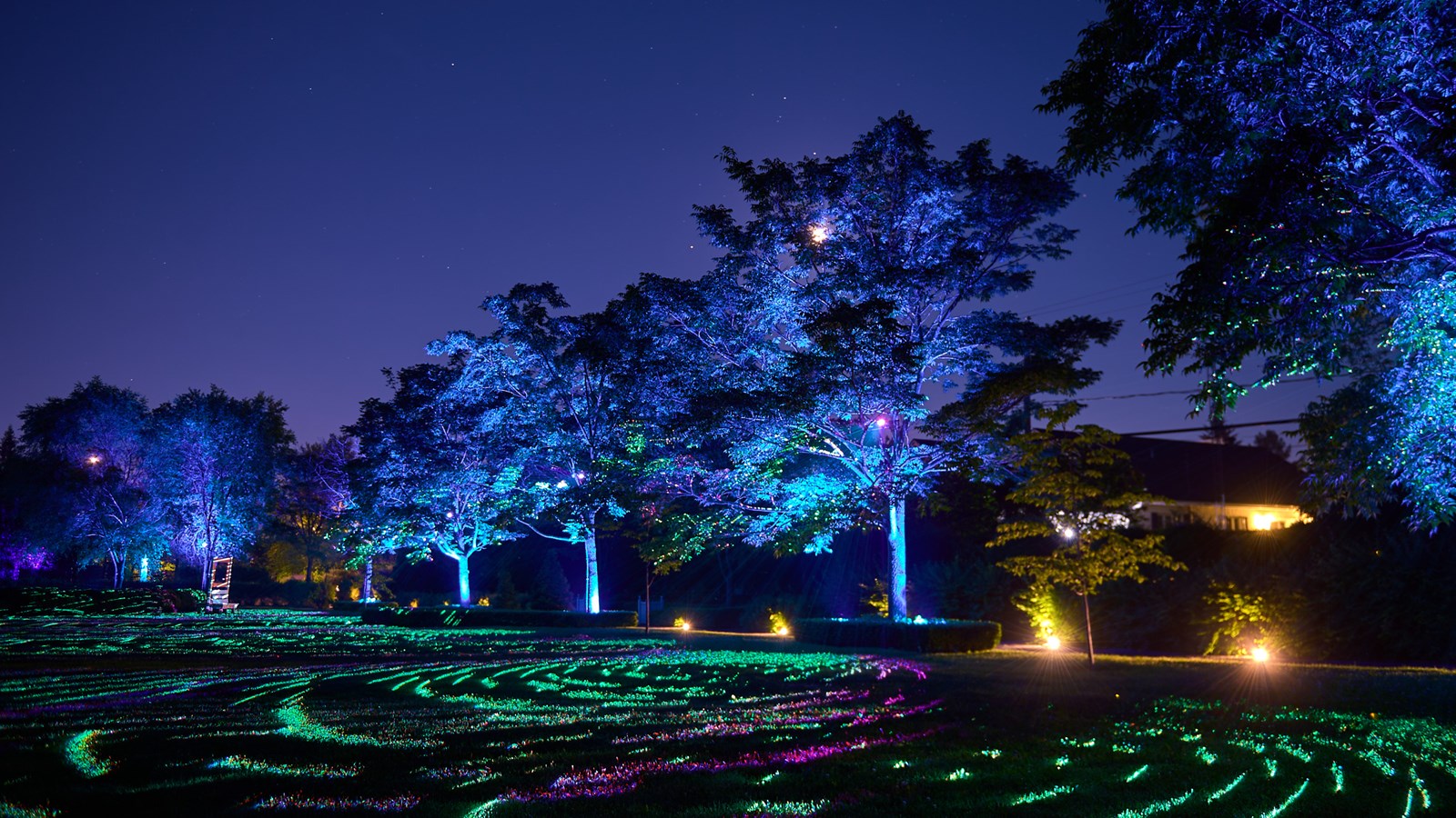 Allégeance, illuminations : un nouvel attrait touristique qui fait briller SCB