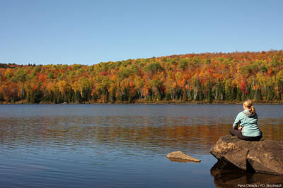 Deux activités d'automne auront lieu la fin de semaine de l'Action de grâces au Parc national de la Mauricie Mauricie le 5 octobre 2010. Courtoisie/L'ÉCHO DE SHAWINIGAN/AGENCE QMI