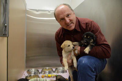 Le directeur général de la Société protectrice des animaux de la Mauricie, Serge Marquis, en compagnie de deux des sept chiots rescapés. GUILLAUME JACOB/L'ÉCHO DE TROIS-RIVIÈRES/AGENCE QMI