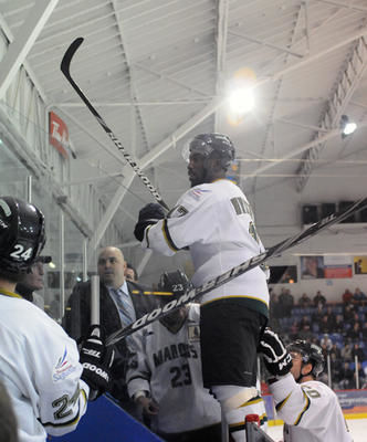 Sean McMorrow s'est interposé lorsqu'un spectateur a tenté de sauter dans le banc de punitions pour s'en prendre à Gaby Roch (24). McMorrow a reçu une inconduite de partie pour son geste. Photo: Terry Charland/Flageol Photo