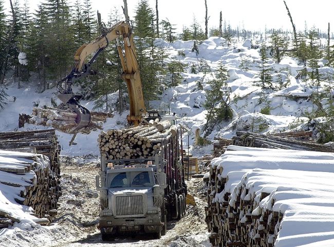 À compter du 1er avril prochain, les plans d’aménagement zones de coupe dans la forêt publique québécoise seront sous la responsabilité d’organismes régionaux, sous l’égide du ministère des Ressources naturelles et de la Faune.