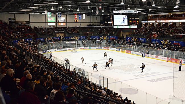 Même si le Centre Bionest devrait afficher complet lors de la présentation du tournoi de la Coupe Memorial, les hôteliers de Trois-Rivières n'ont pas constaté une hausse dans le nombre de réservations.