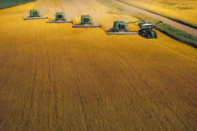 Depuis 2010, Agri-Terra a acquis quelques terres dans la région et ailleurs en province. Ces terres sont ensuite relouées à des agriculteurs. Les revenus de location sont redistribués aux investisseurs. 