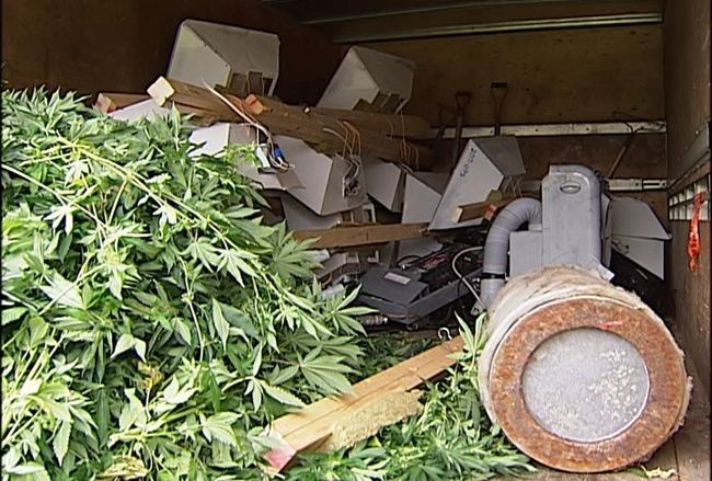 L’Escouade régionale mixte de lutte à la drogue de la Mauricie—Centre-du-Québec a perquisitionné une résidence du boulevard St-Jean à Trois-Rivières, dans le cadre de l'opération « Boutures ». 