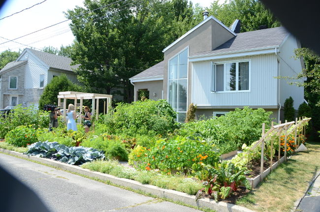 Un couple de Drummondville se bat présentement pour le droit de cultiver son potager en façade.