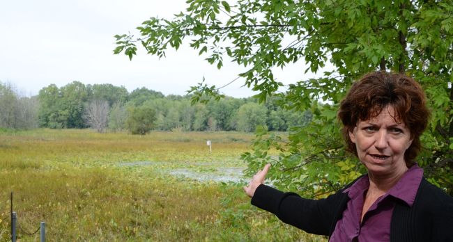 Louise Corriveau, directrice générale du comité ZIP du lac Saint-Pierre, explique les problèmes qui affligent le marais Saint-Eugène.