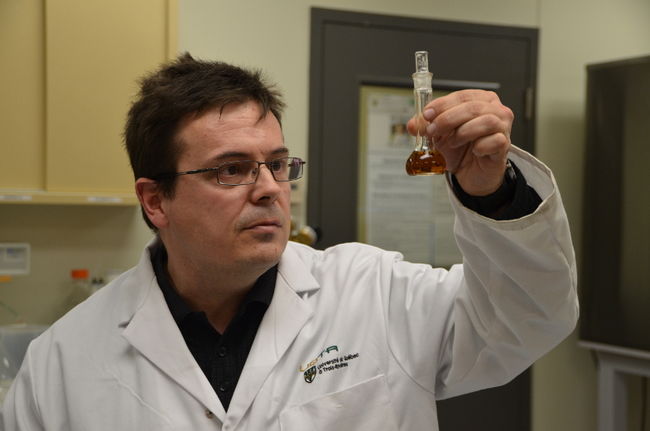 Les recherches d’André Lajeunesse, professeur et chercheur en chimie criminalistique à l’UQTR, montrent que chaque centimètre de cheveux contient l’historique de tout ce qu’une personne a ingéré en un mois.