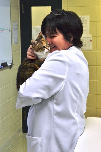 Dre Suzanne Milette, vétérinaire à l’Hôpital Vétérinaire Rive-Nord, avec un de ses patients.