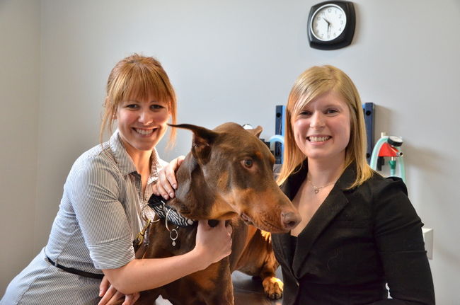 Dre Geneviève Marceau et Dre Marie-Michèle Poirier, vétérinaires-propriétaires, en compagnie d’Enzo, dans leur nouvelle salle de chirurgie.