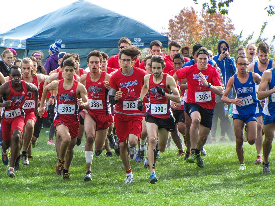 Saison de rêve pour les Diablos crosscountry