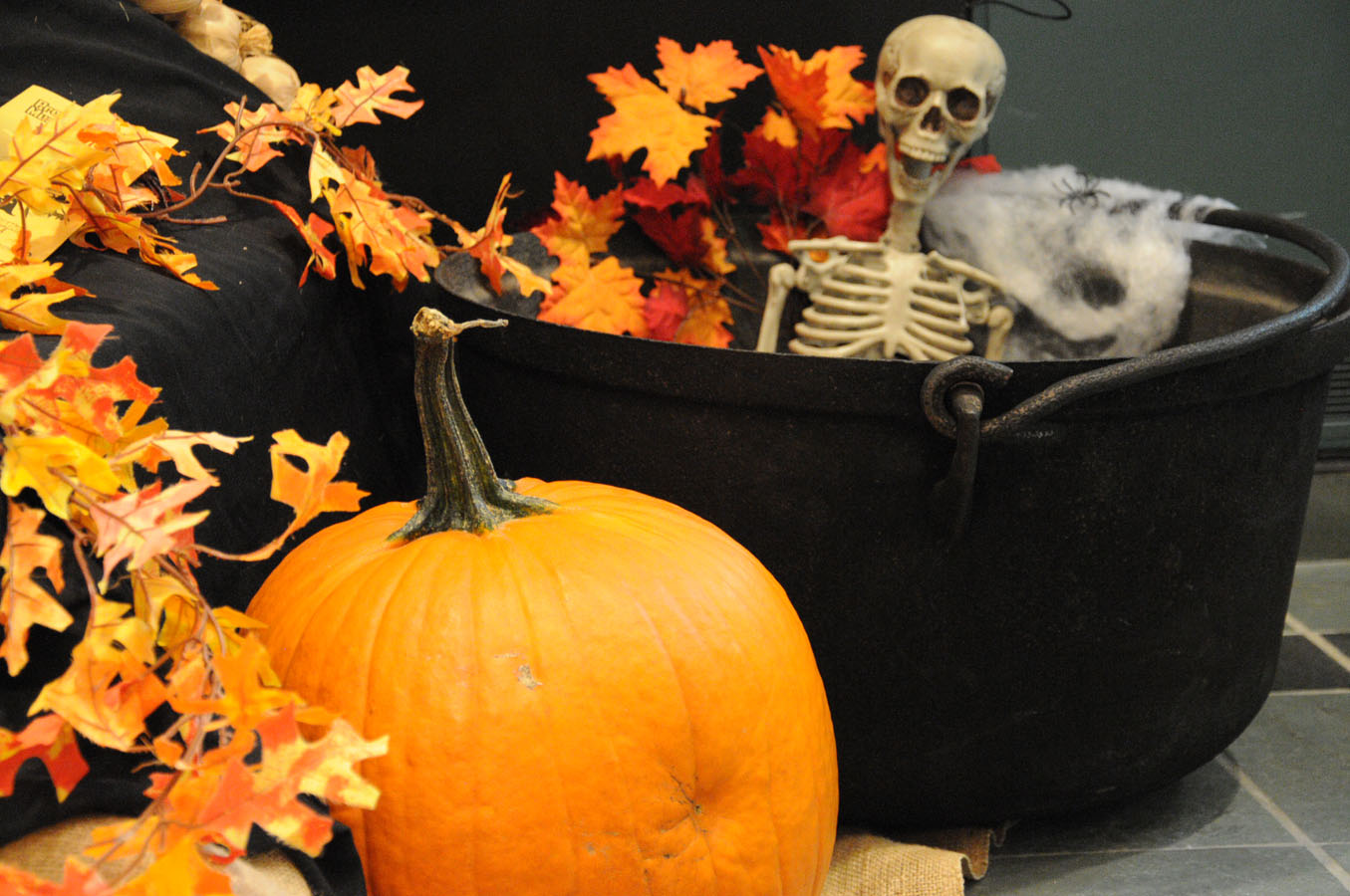Le Musée cherche des enquêteurs pour fêter l'Halloween