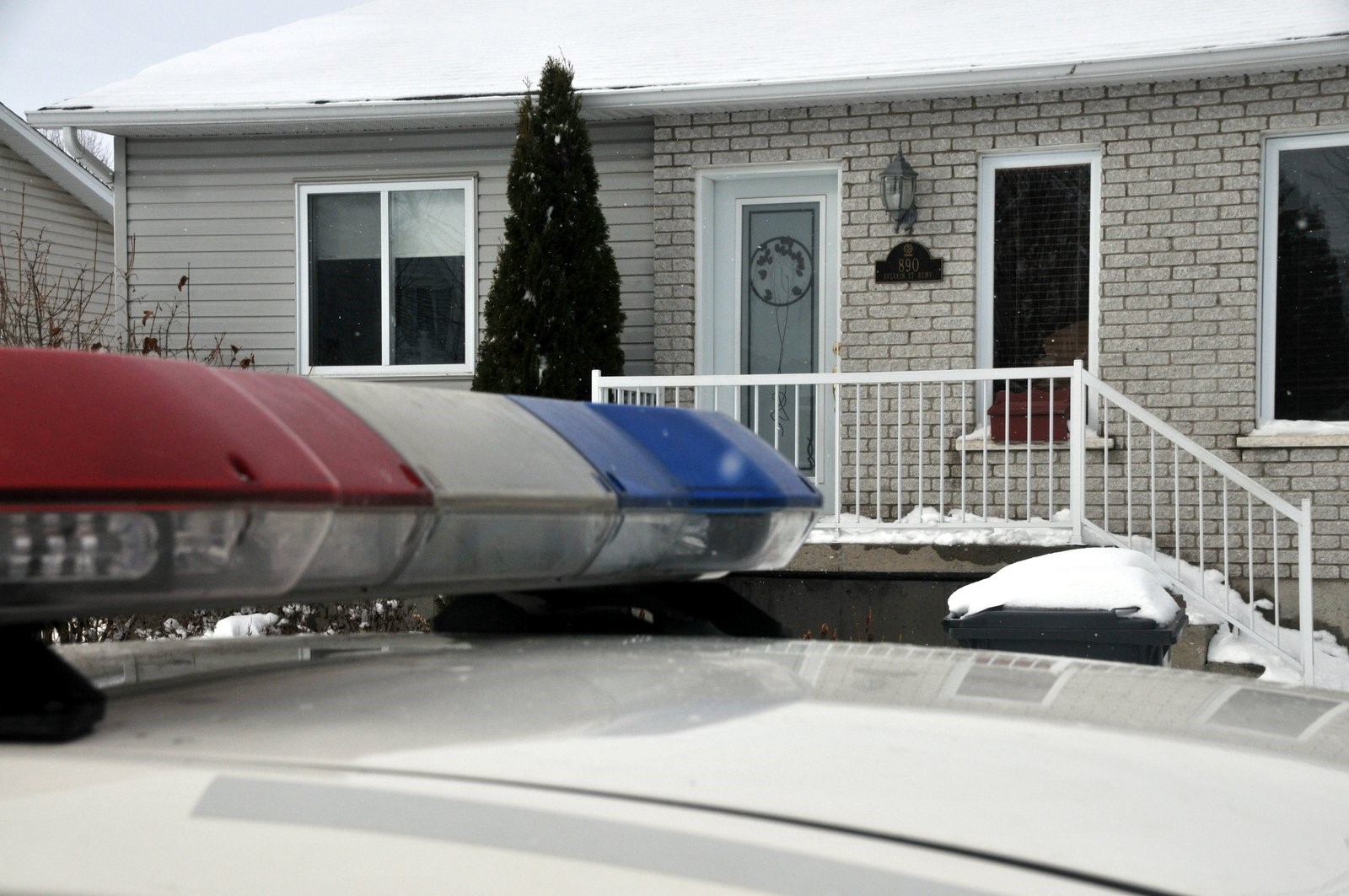 Démantèlement de cultures de cannabis: neuf arrestations