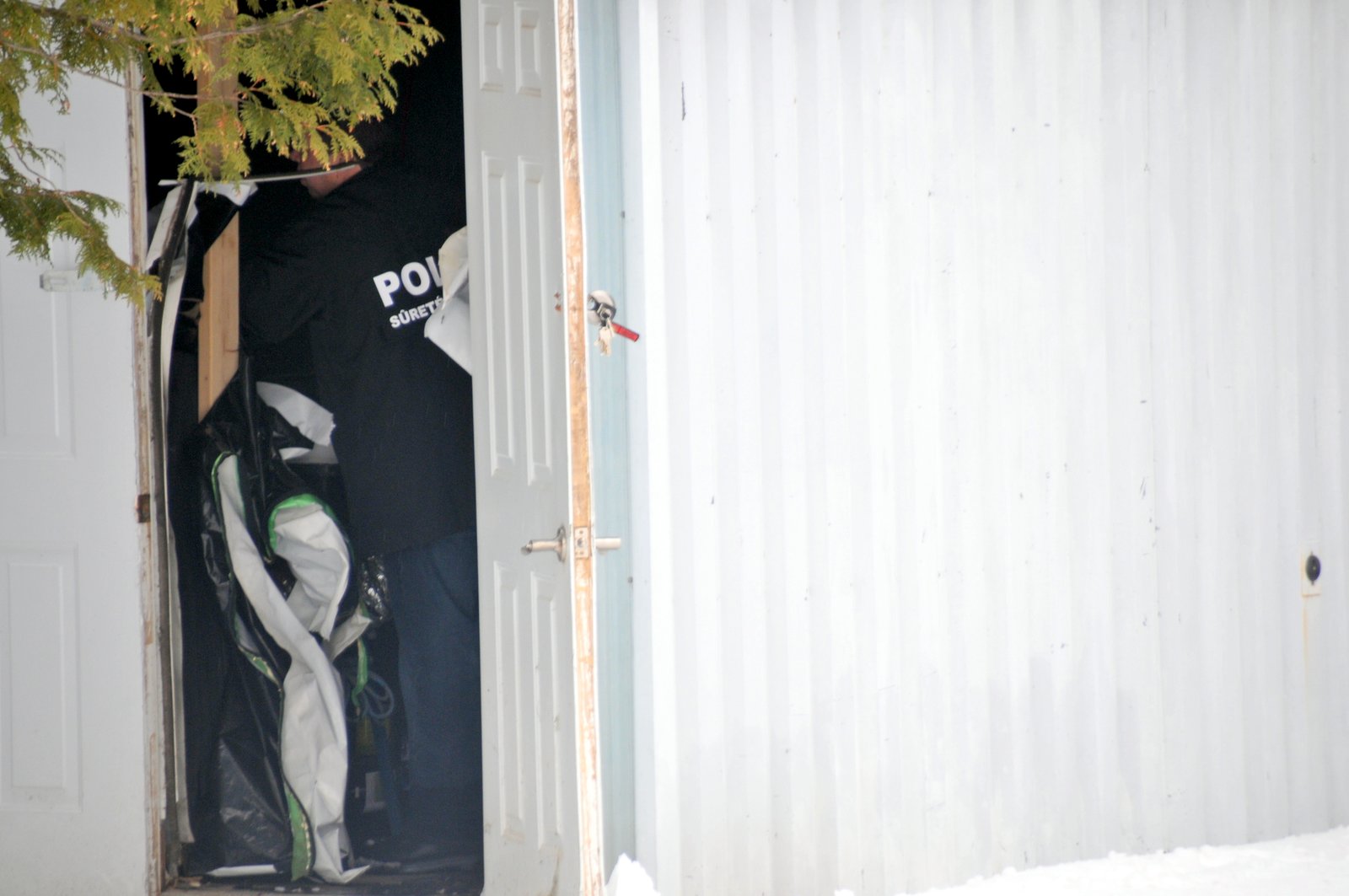 Démantèlement de cultures de cannabis: neuf arrestations