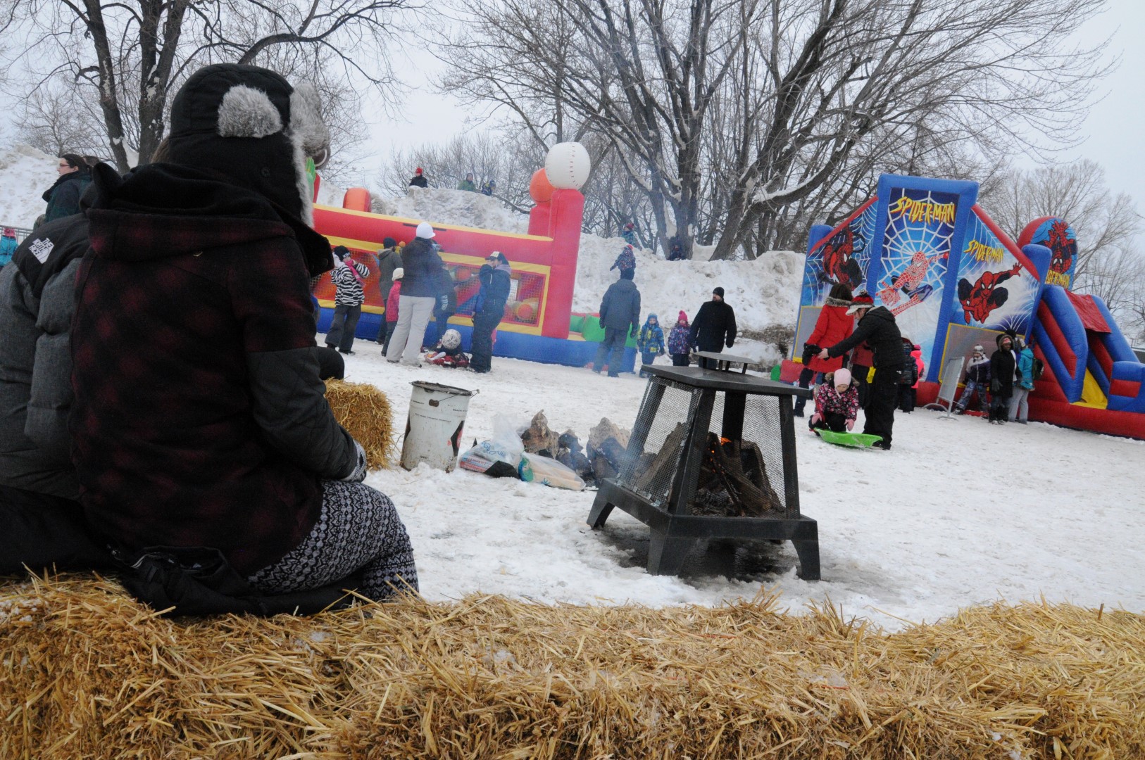 Les Carnavals sont débutés! 