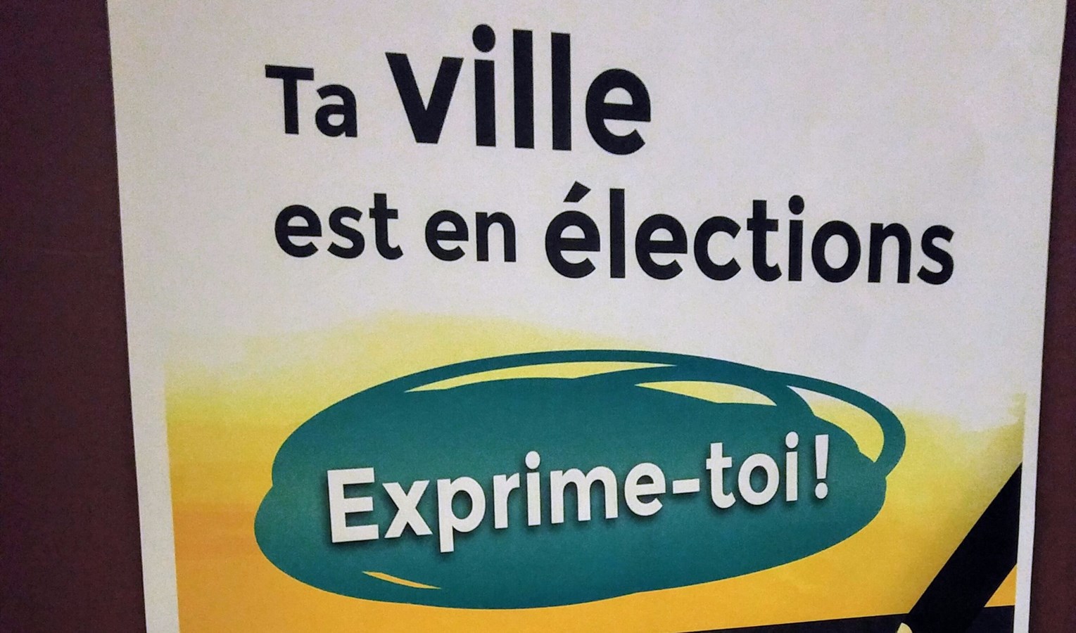 Des jeunes mobilisés aux enjeux électoraux 
