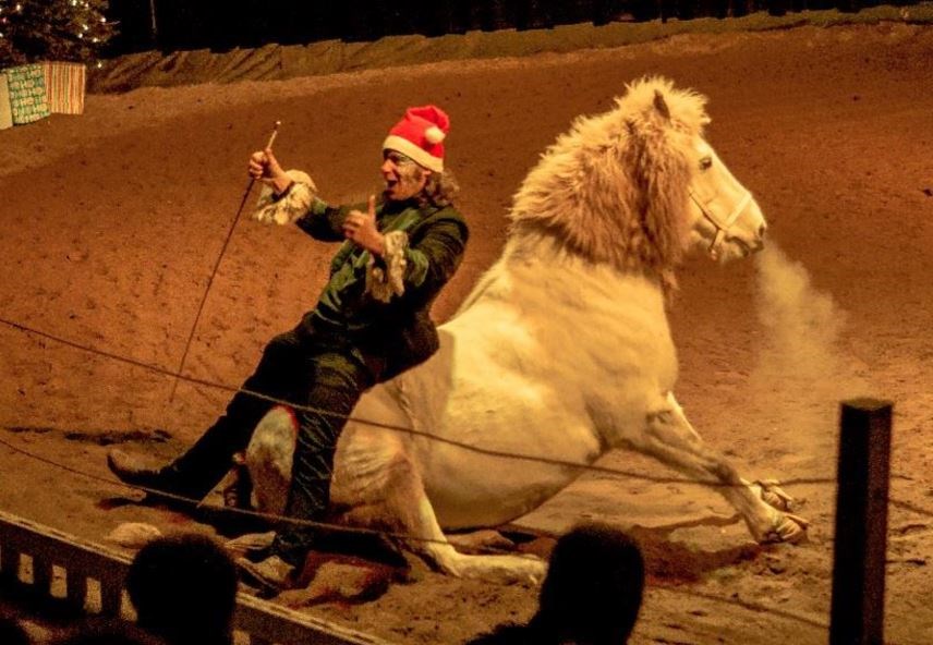 NOËL, pour célébrer le Temps des fêtes!