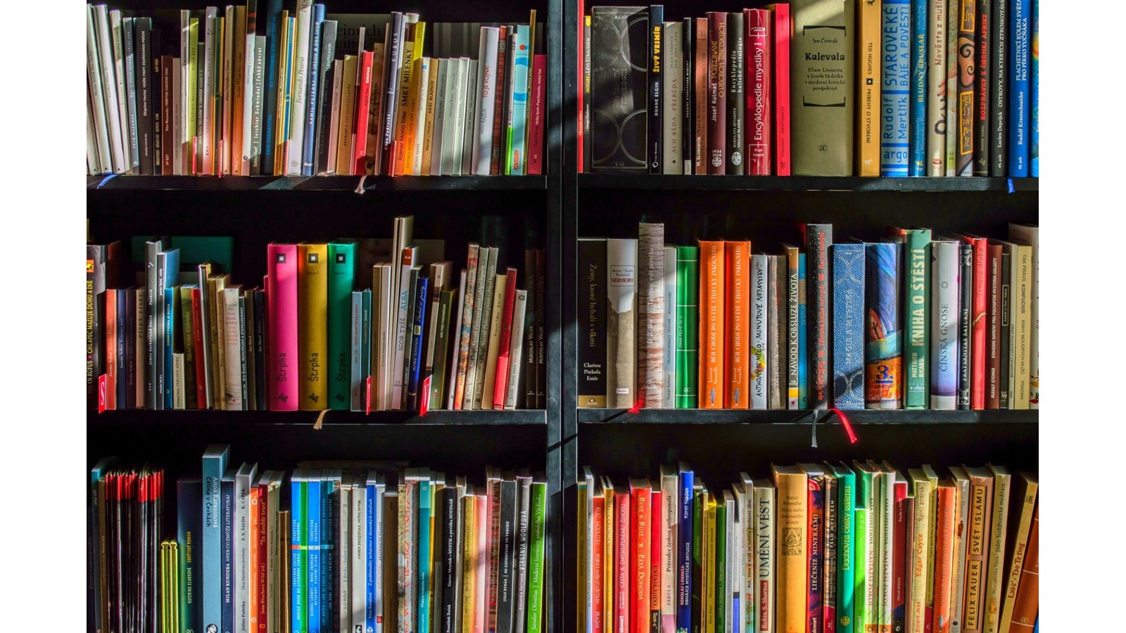 Une programmation colorée, comme l’automne à la bibliothèque H.-N.-Biron de Nicolet