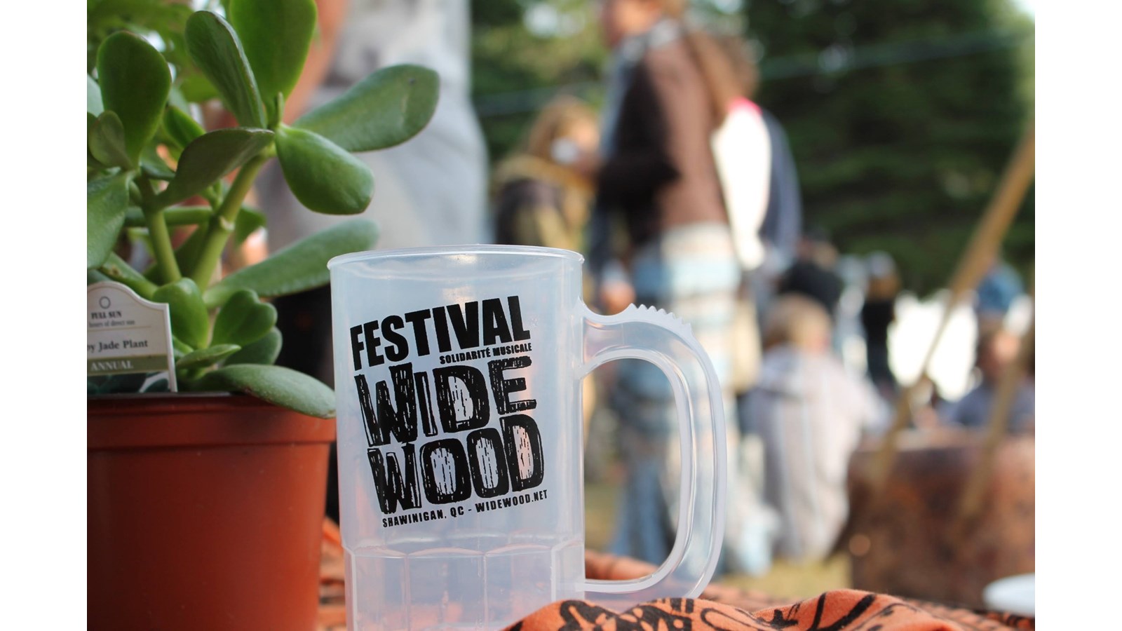 Widewood : Un trésor caché de Shawinigan à découvrir