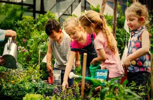 Le Festival des récoltes à l'école Louis-de-France, une célébration des produits et comportements écoresponsables