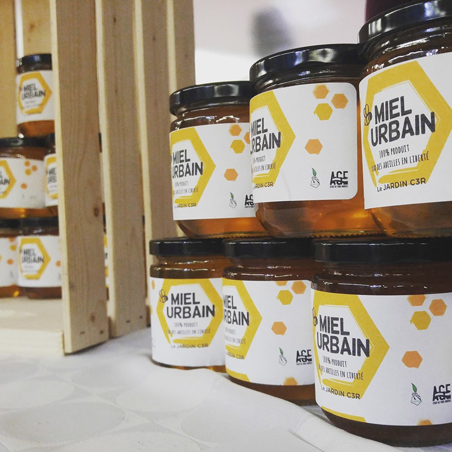 Miel urbain au cégep : un projet qui stimule l’entrepreneuriat