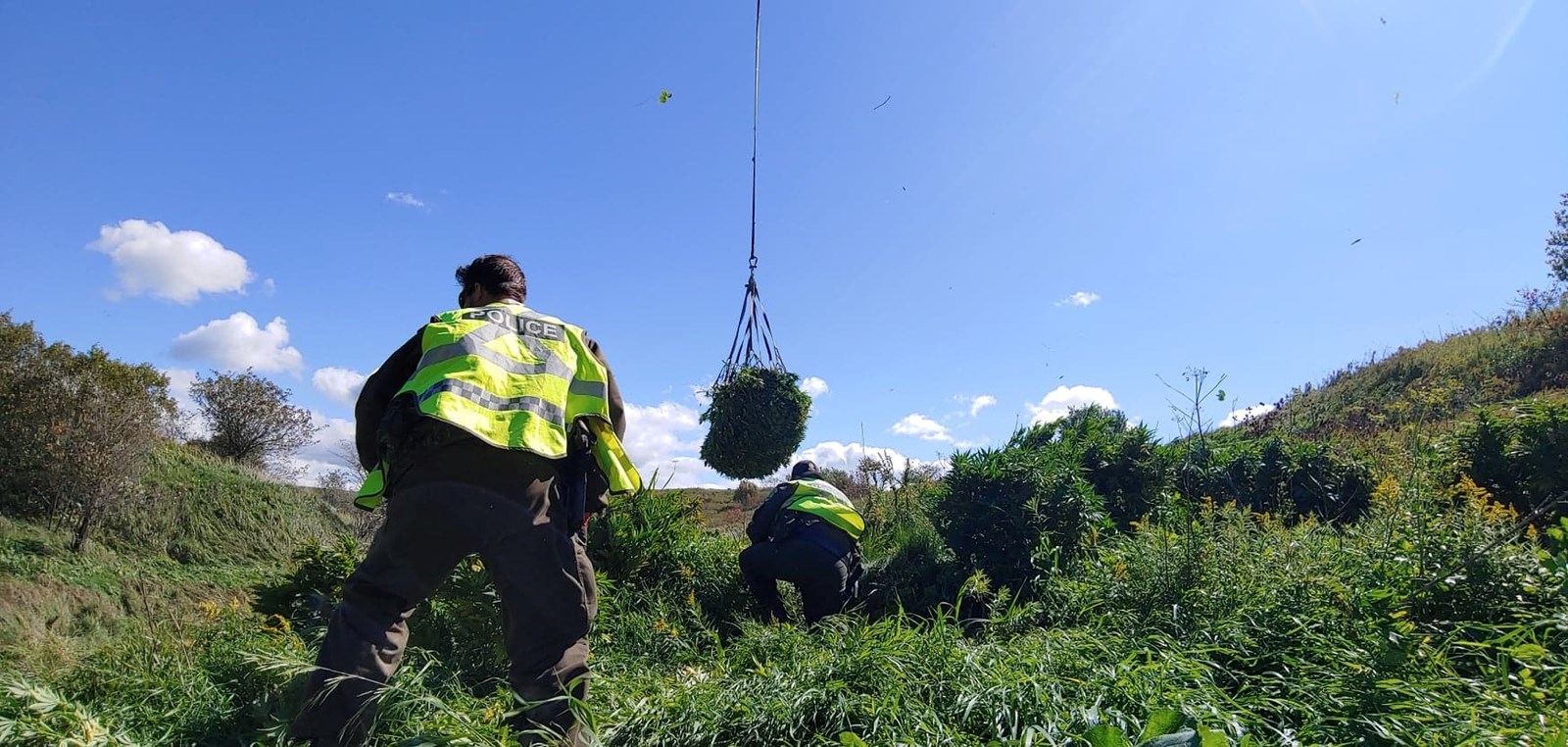 En Mauricie, une journée d'éradication de plants de cannabis pour la Sûreté du Québec