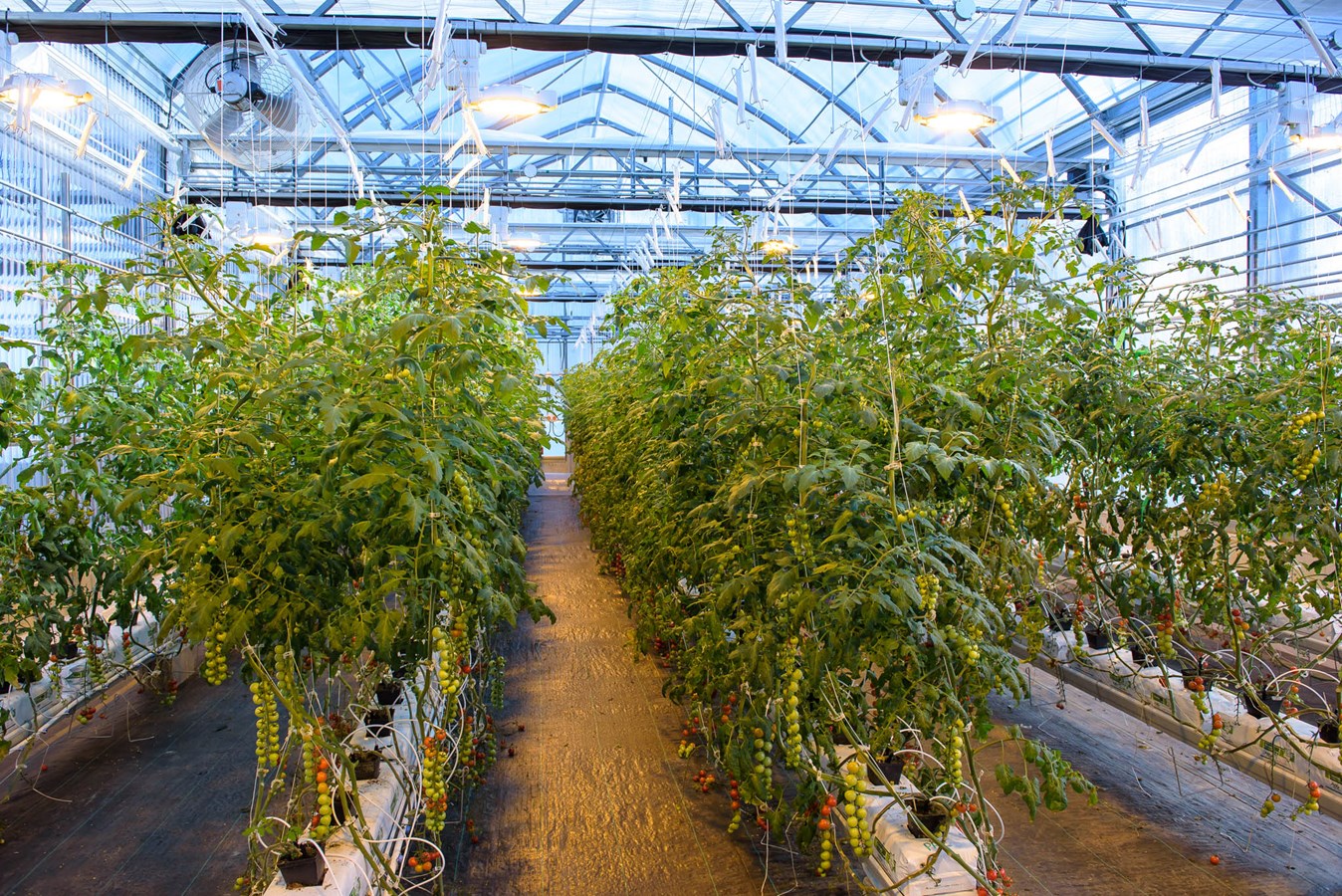 Une première chaudière à biomasse de Schmid au Canada