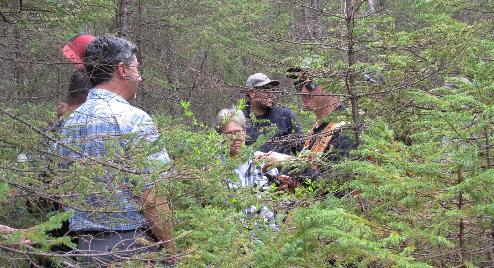 Les organisations désirant déposer un projet doivent prendre connaissance du guide, car les travaux doivent répondre aux critères établis par le ministère des Forêts, de la Faune et des Parcs.