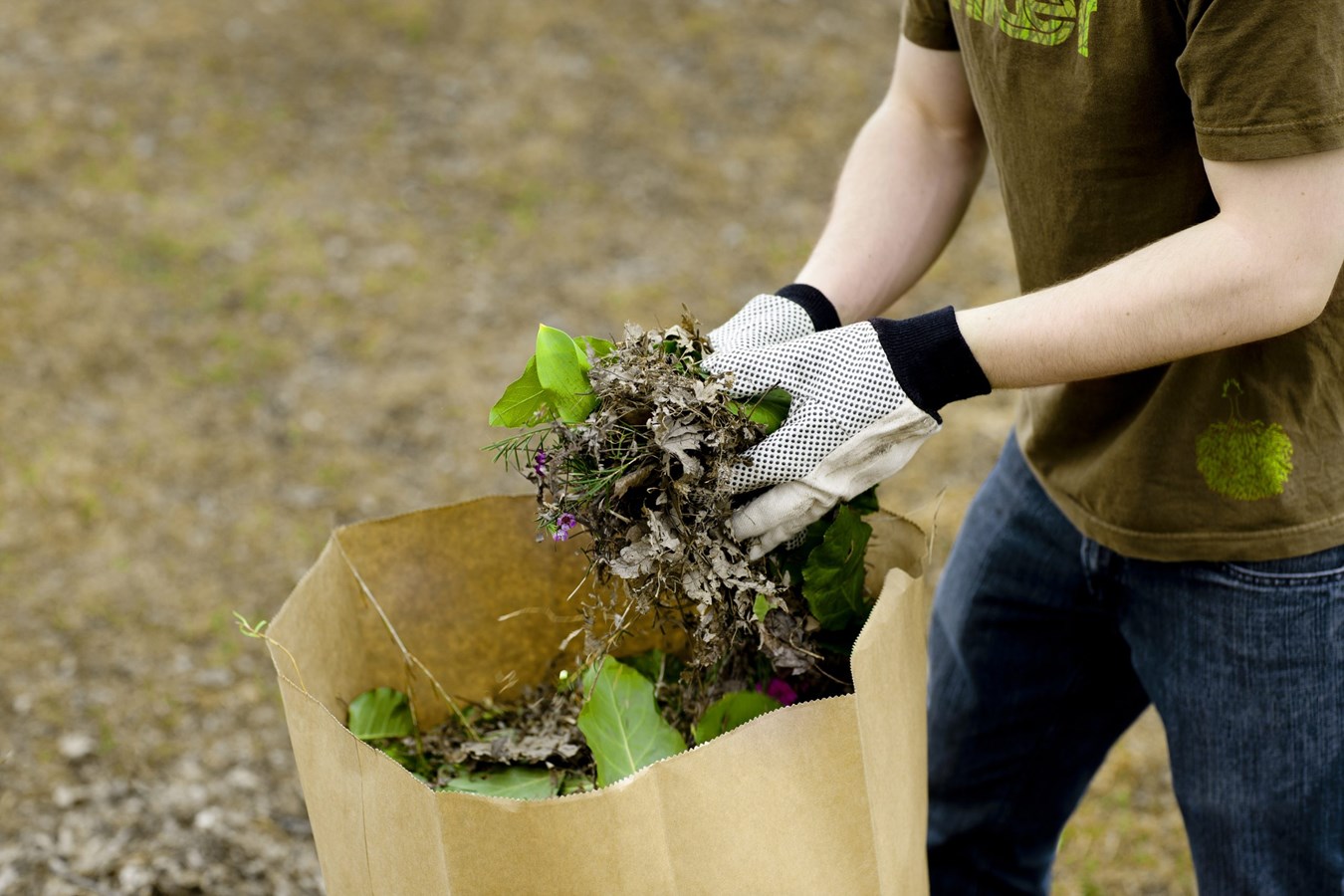 Ramassage des feuilles mortes et des résidus verts à la fin mai