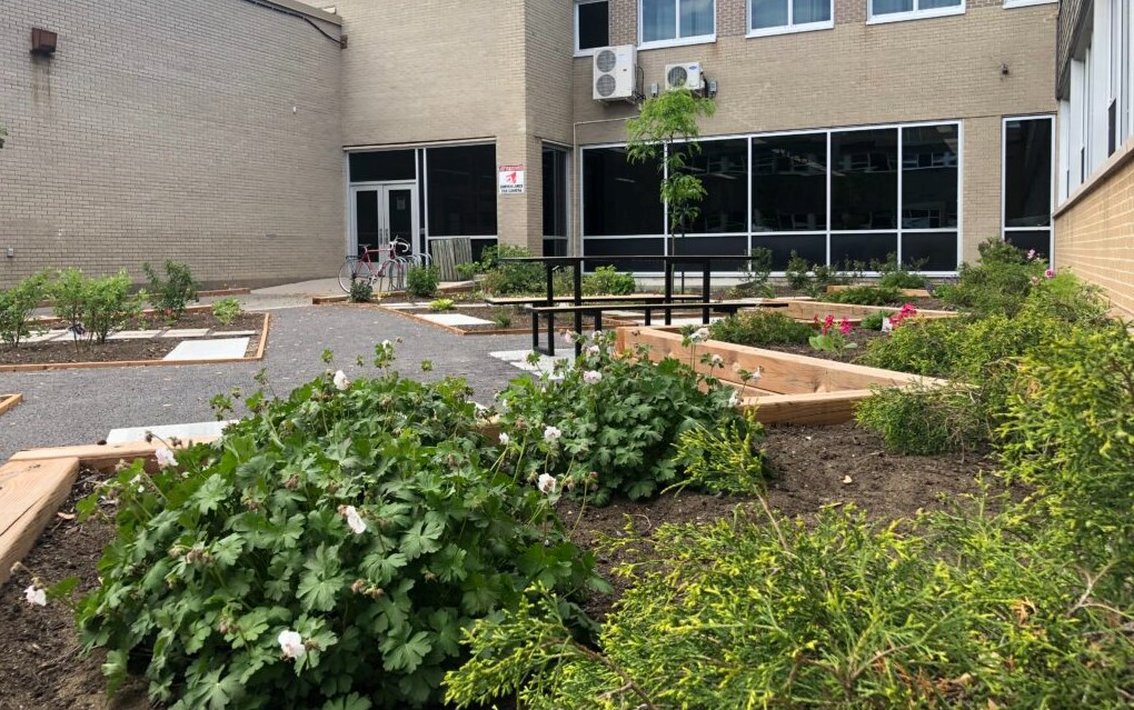 Inauguration de la cour verte pour une école en santé