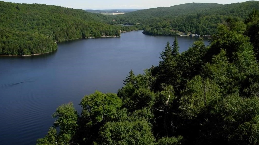 L’Association des propriétaires de chalet du lac du Jésuite de Sainte-Thècle initiera des jeunes à la pêche sportive.