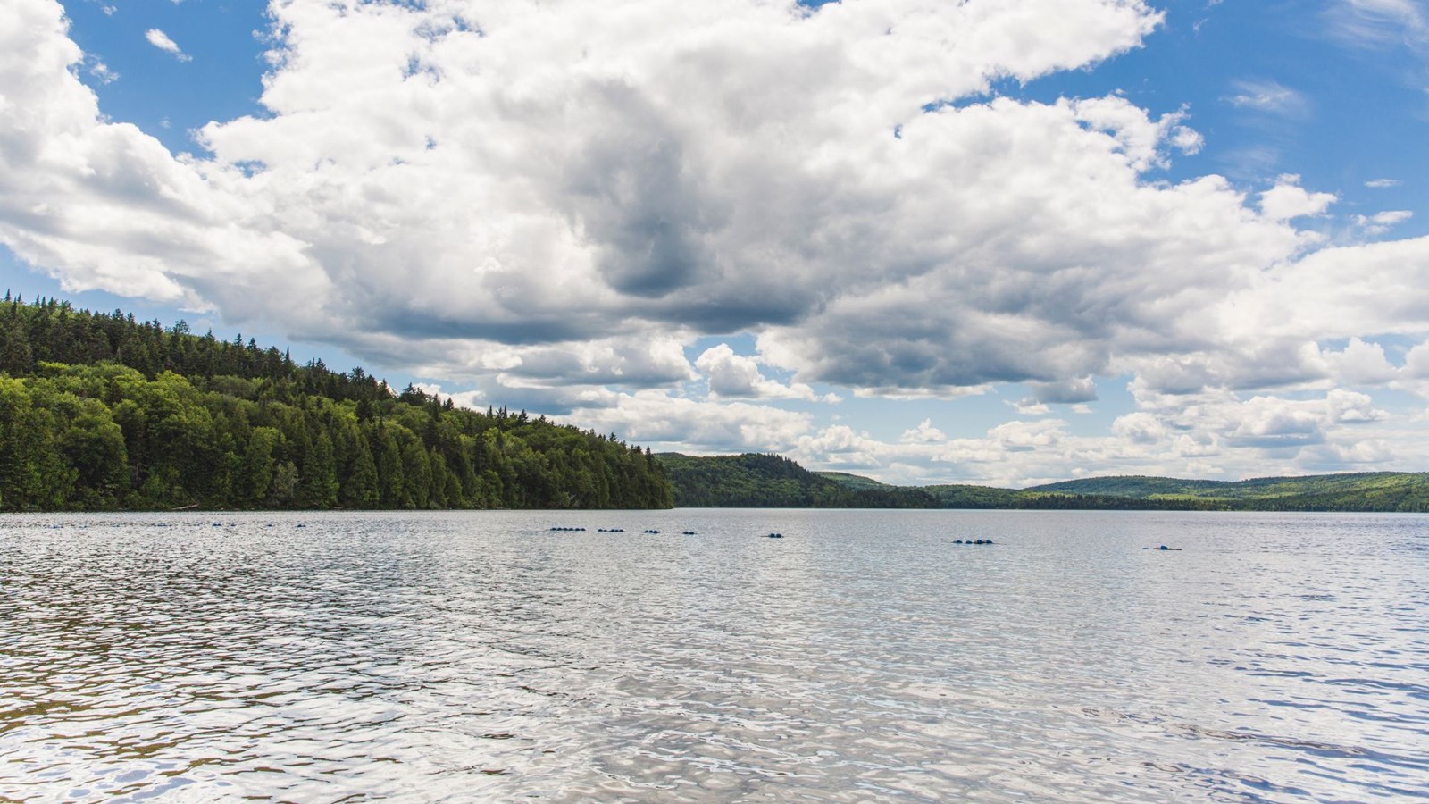 Reserve faunique mastigouche