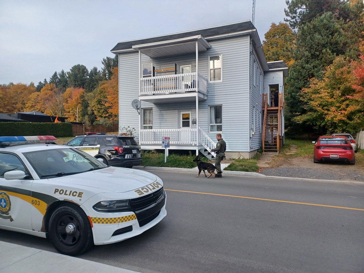 Deux arrestations pour trafic de stupéfiants dans le secteur de Grand-Mère