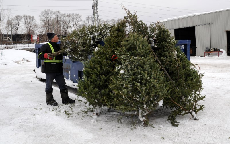 Inscriptions pour la collecte de sapins naturels à Shawinigan