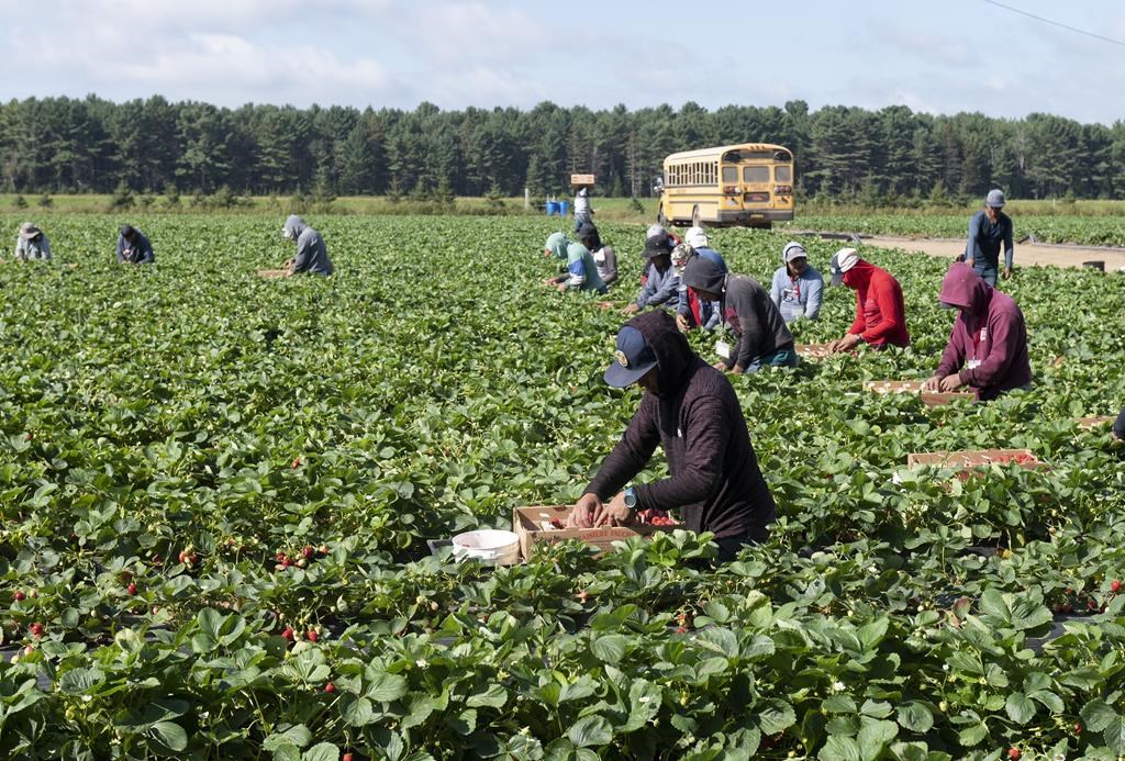 L'UPA lance un appel à l’aide pour faire face à la baisse de revenu