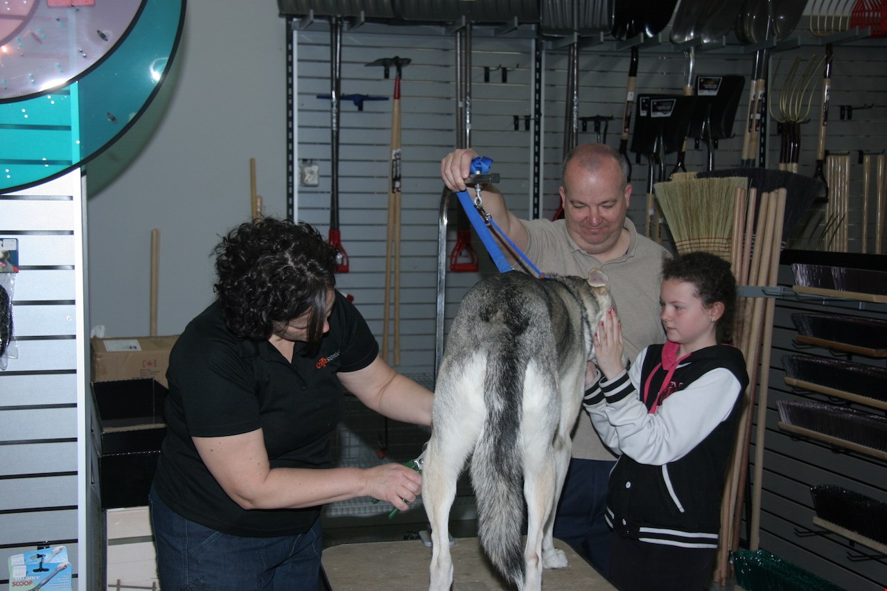 Ouverture de Griffes et Sabots chez Agri Services St-Laurent de Windsor