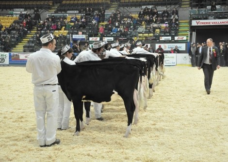 De nouveau présent pour la 161e édition, le Service d’enchères Crackholm et le troupeau Holstein est inscrit au bottin de l’Expo Richmond Fair. En plus d’être éleveur et encanteur, David Crack Jr se passionne à juger des expositions.