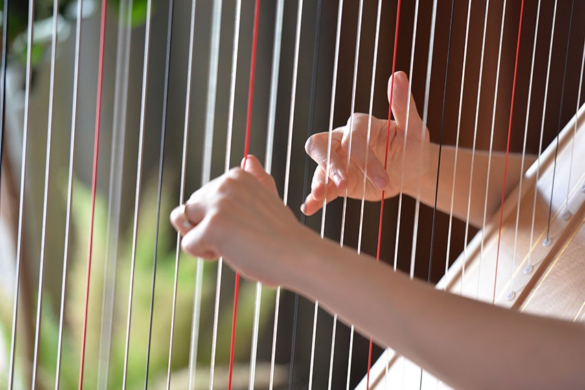 Instruments et musique du patrimoine à la Société d’histoire