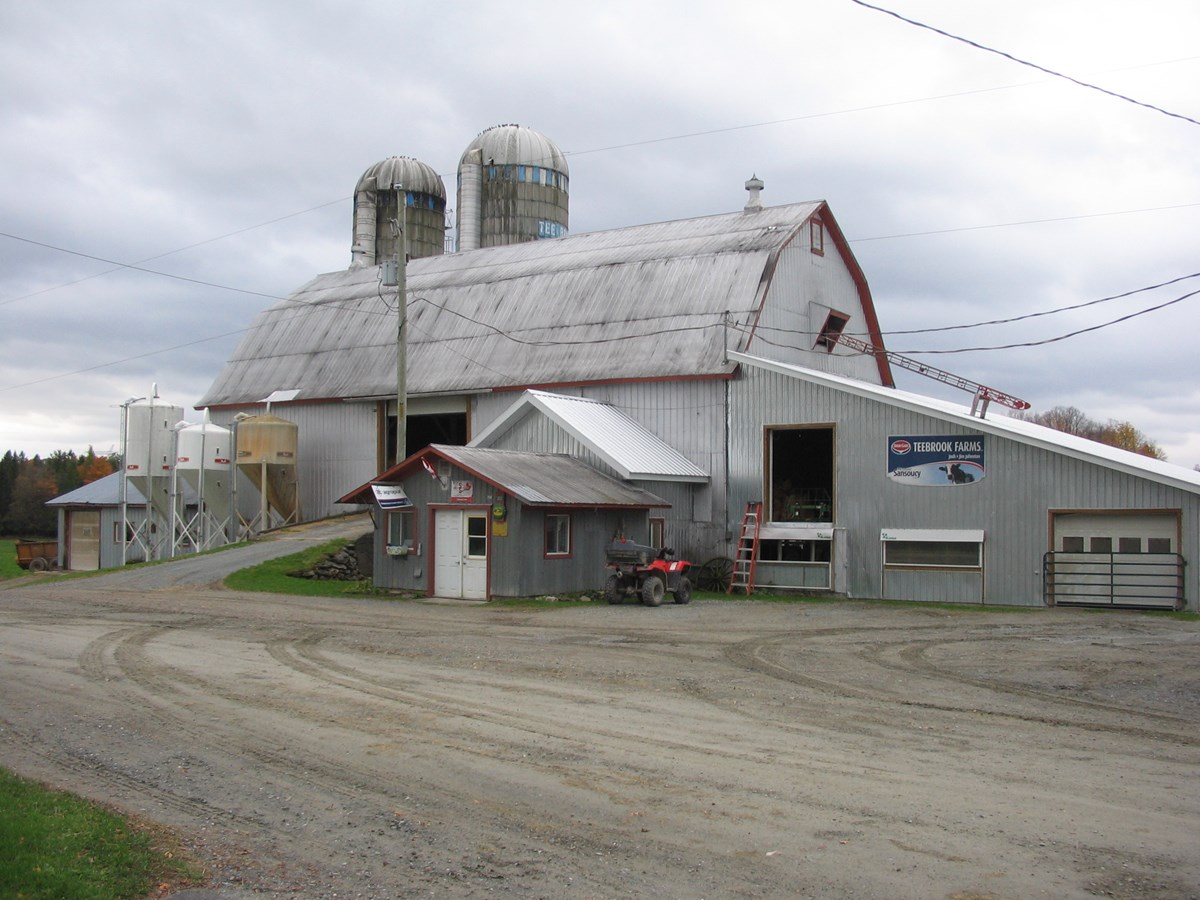 Propriété de James et de Joshua Johnston, la ferme Teebrook se transmet dans la famille depuis trois générations. Elle compte 56 vaches en lactation de race holstein et détient un quota de 65 kg.