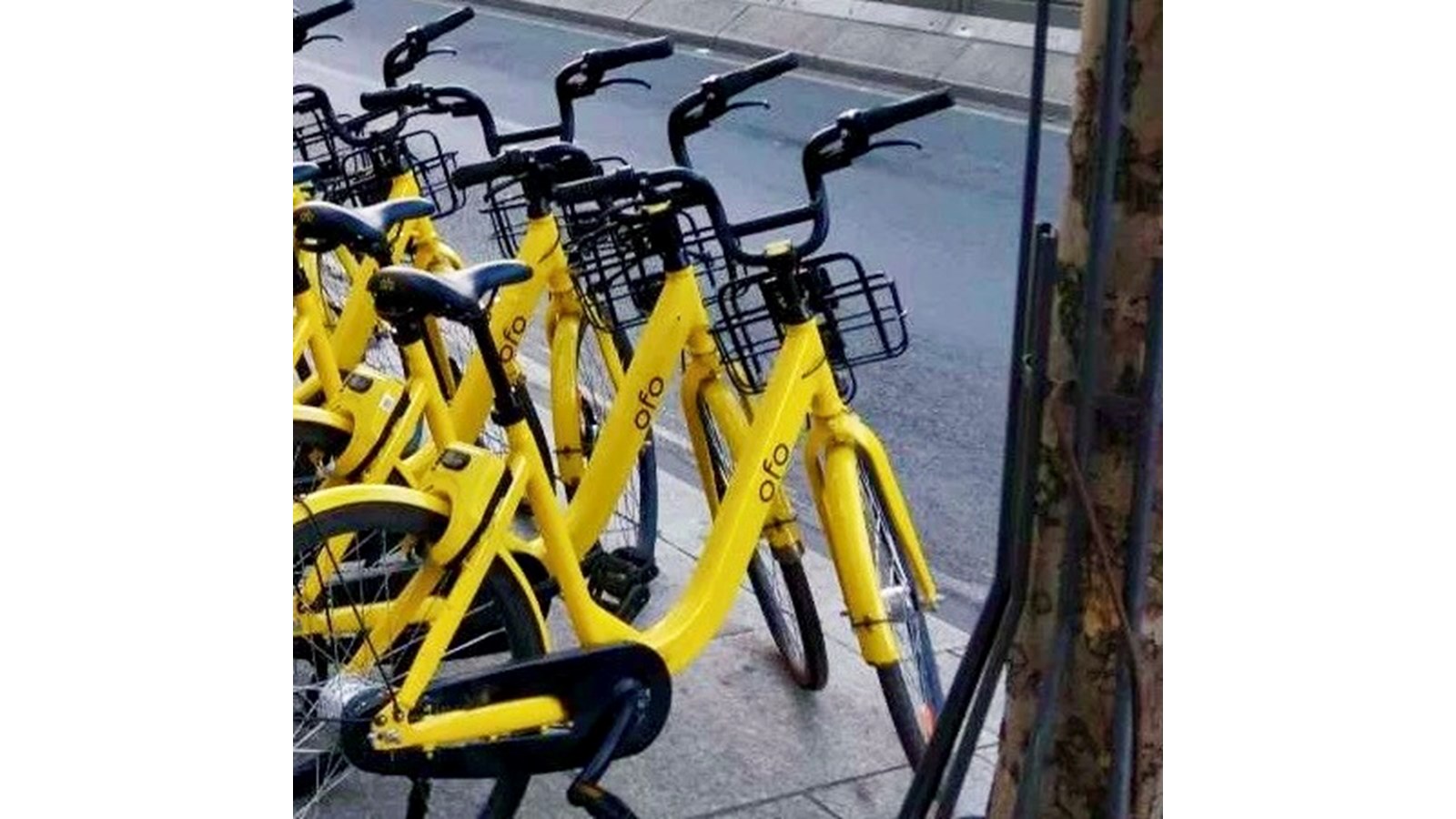 Les vélos communautaires jaunes feront leur apparition dès cet été à Saint-François-Xavier-de-Brompton.
