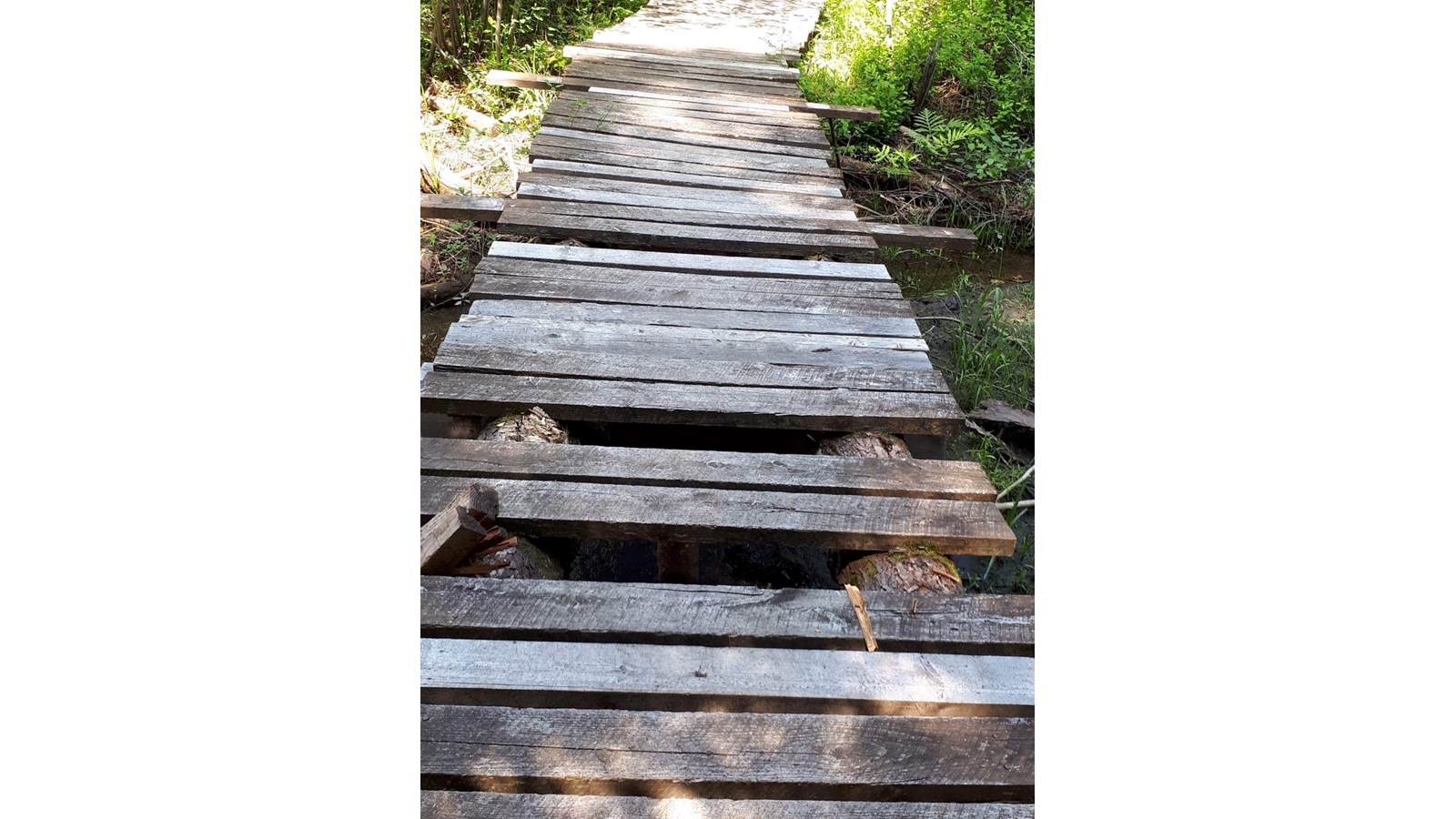 Au parc historique de la Poudrière, les sentiers pédestres ont été grandement endommagés de façon volontaire.
