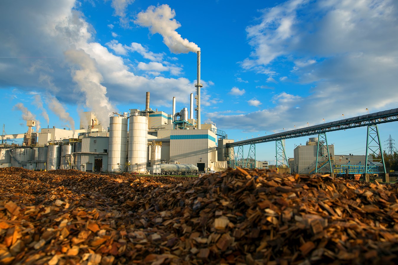 Domtar : au sommet des usines les plus sûres !