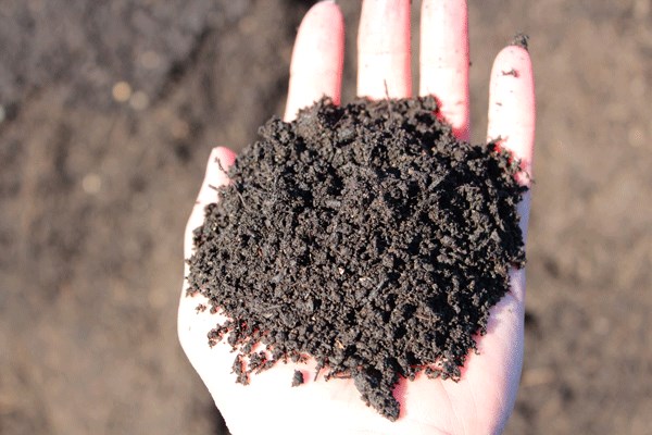La distribution de compost est dorénavant un incontournable à Rimouski.