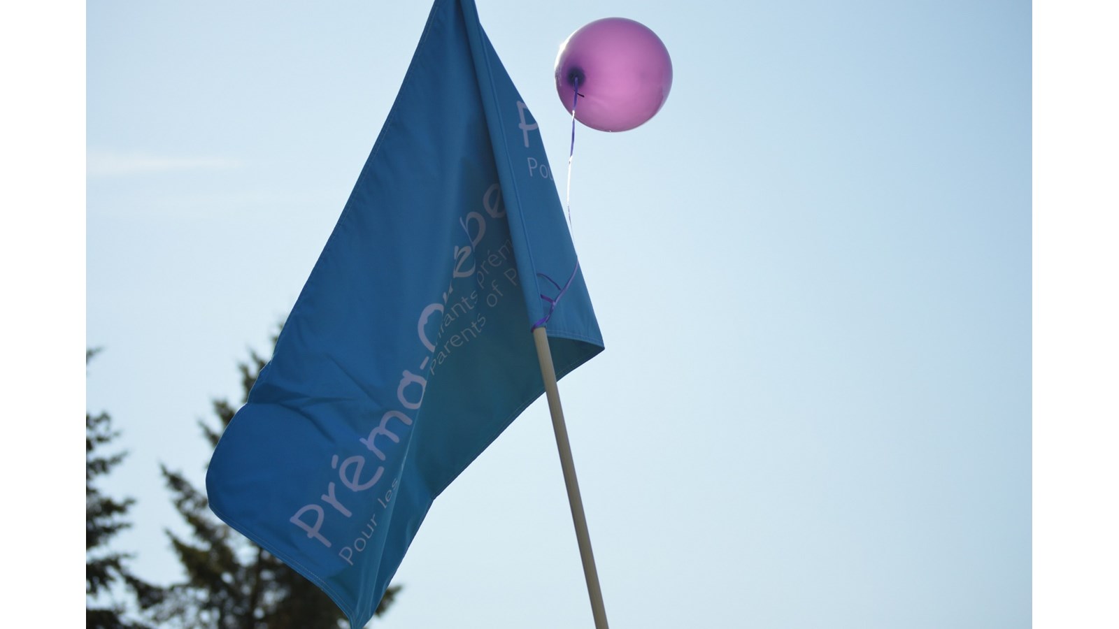 Préma-Québec invite la population à s’inscrire à La Marche pour les Prématurés le 8 septembre prochain