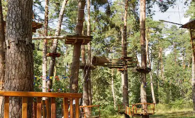 Une structure bowl et un parcours d'aventure en forêt construits en 2020 à Rimouski