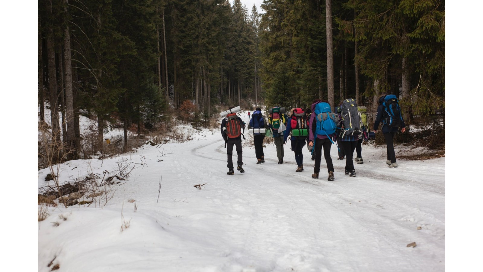Comment bien se préparer pour une excursion en hiver