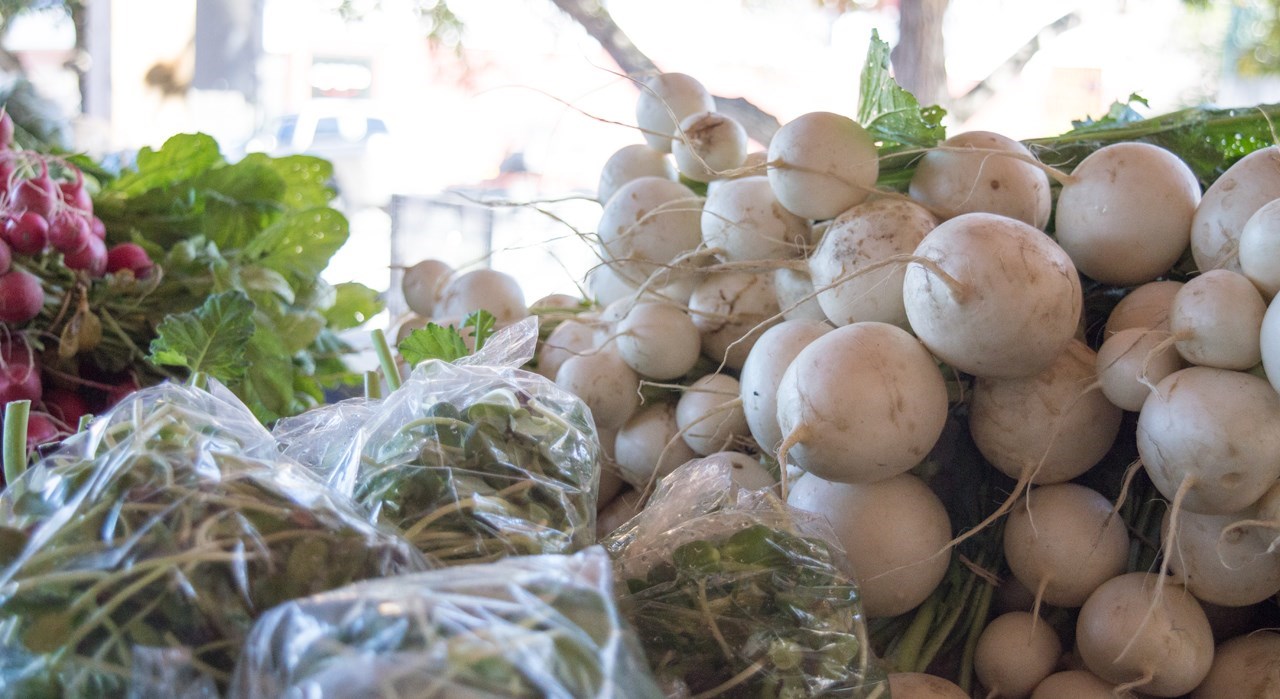 La 11e Semaine québécoise des marchés publics  arrive au Bas-Saint-Laurent