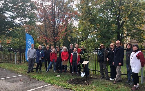 Un geste de plantation fort pour la Journée mondiale du climat