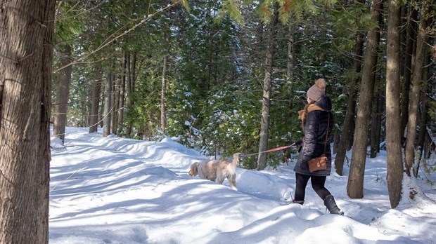 Rivière-du-Loup annonce la fermeture de tous ses parcs et espaces verts extérieurs